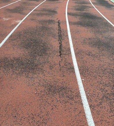 Enna. Campo di atletica necessario di interventi urgenti, sabato e domenica gare regionali