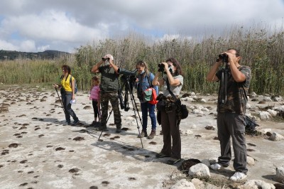 EuroBirdwatch al Lago di Pergusa