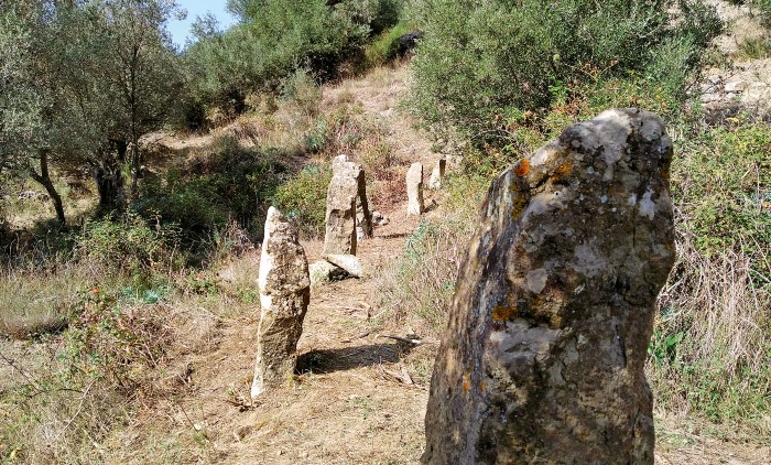 “I Menhir di Cerami nel contesto del megalitismo siciliano” al Museo Salinas di Palermo