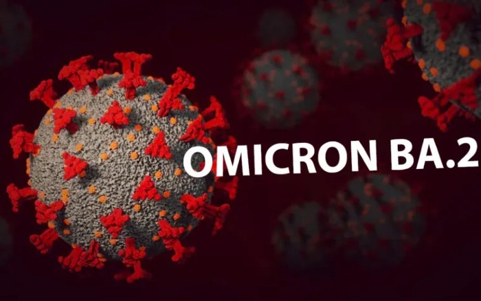 Il consenso (dis)informato nella variante Omicron