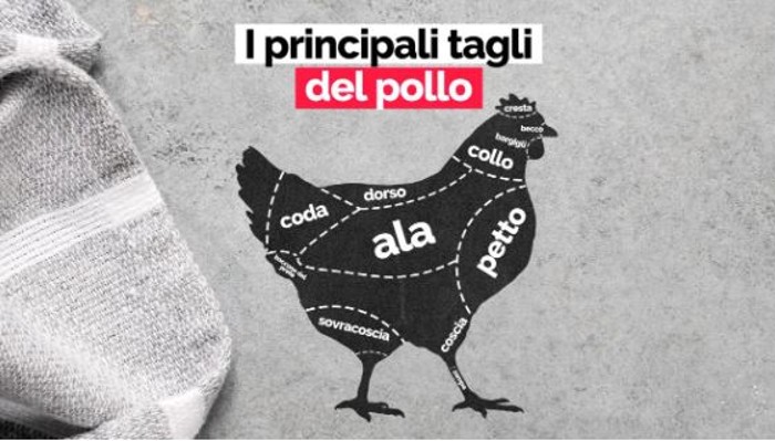 Enna. Pollo-clinico o polli-clinico?