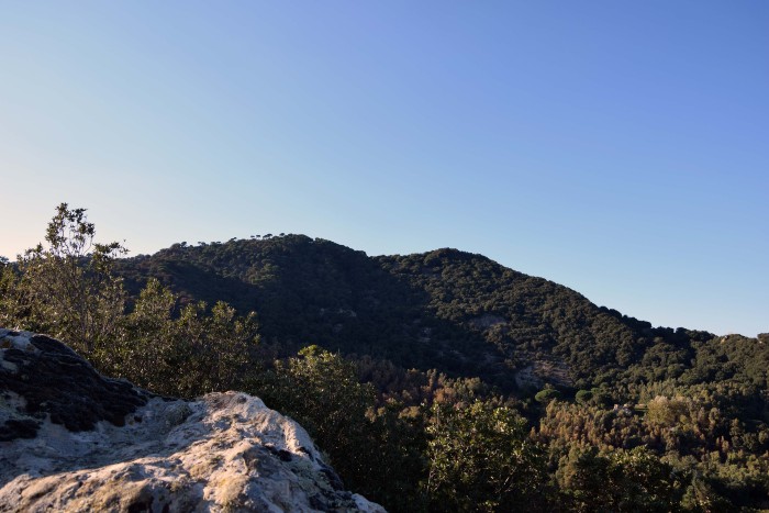 Nicosia: riprendono le ricerche archeologiche sul monte Altesina