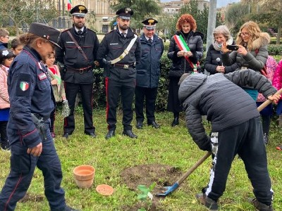 A Gagliano Castelferrato ed Agira donate dai Carabinieri due piante dell’albero del giudice Giovanni Falcone