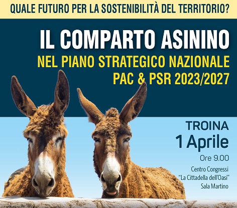 A Troina il convegno “Il comparto asinino nel Piano Strategico Nazionale PAC & PSR 2023/2027”