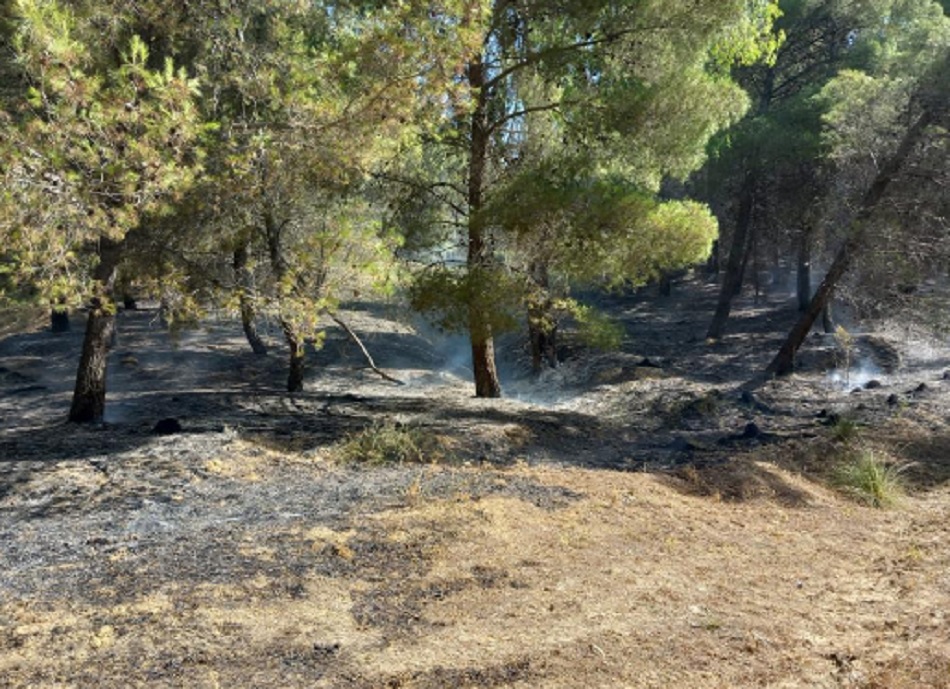 Brucia l’area di Piazza Armerina, incenerita Montagna di Marzo