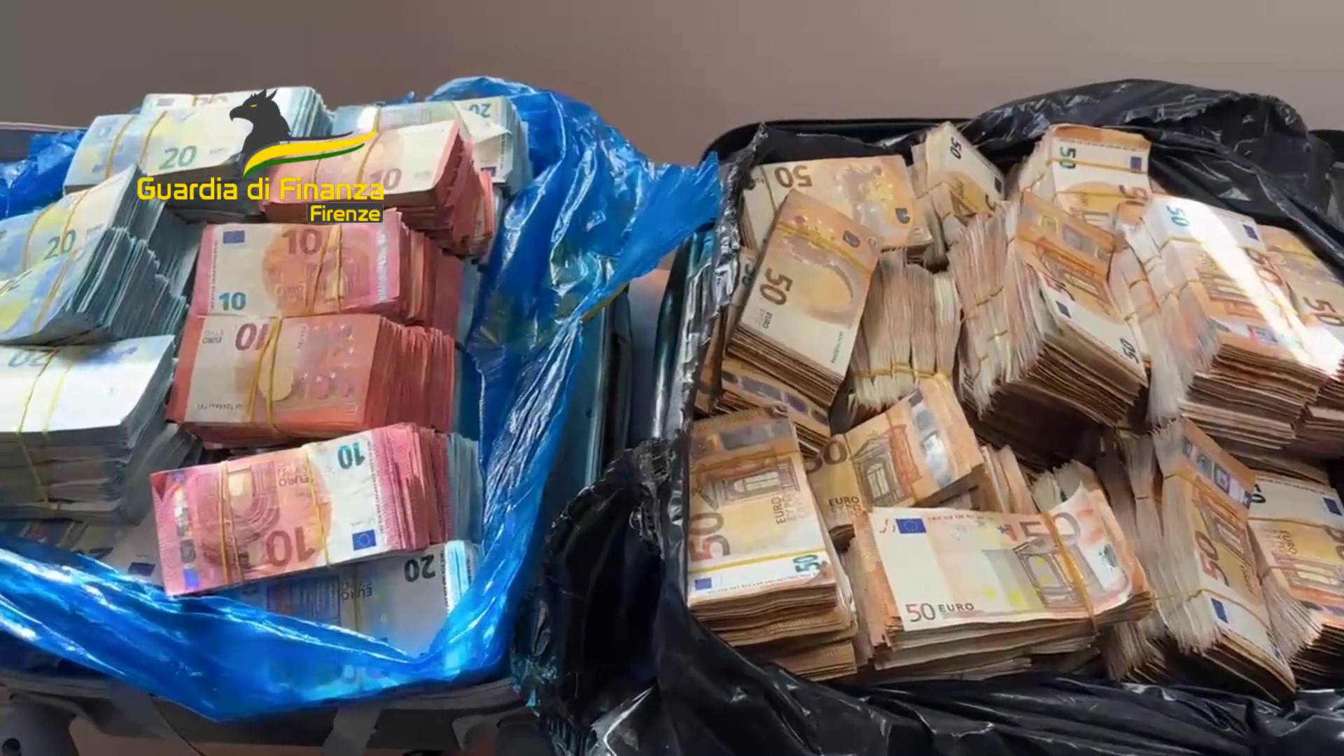 A Firenze Il Fiuto Del Cane Elio Scopre Un Milione Di Euro In Contanti a-firenze-il-fiuto-del-cane-elio-scopre-un-milione-di-euro-in-contanti