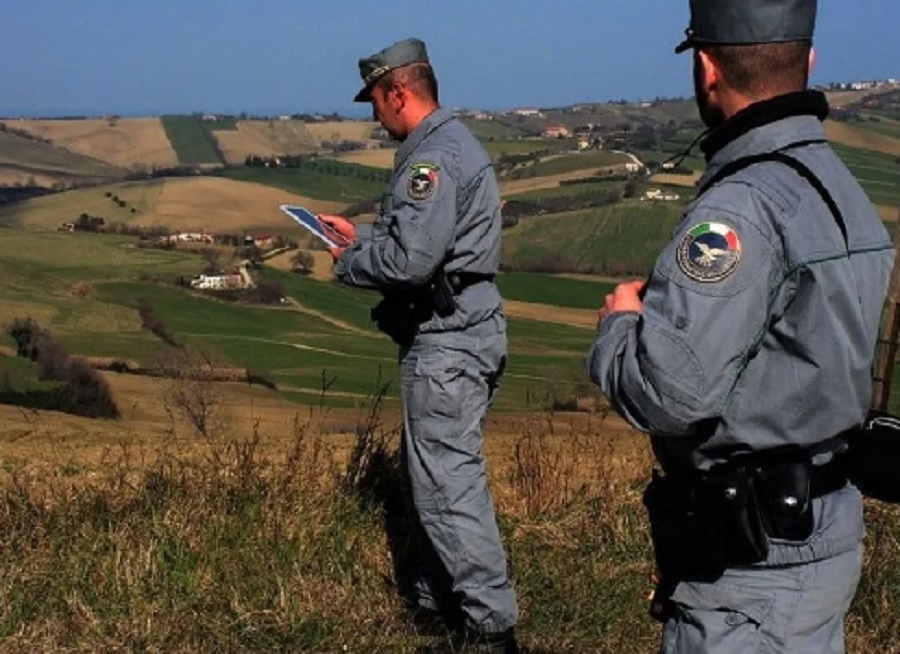 Forestali di Enna, Ugl alla Regione “mancano due mensilità”