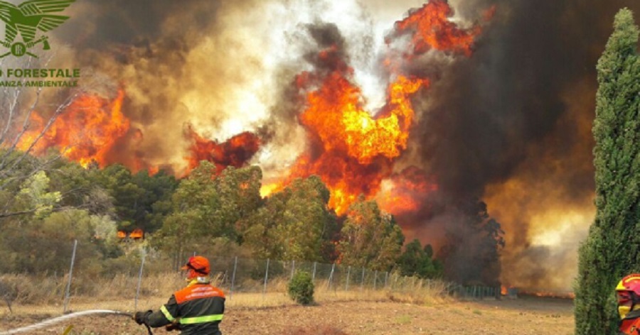 Tre incendi ad Aidone, in fiamme il bosco di Serre Baccarato