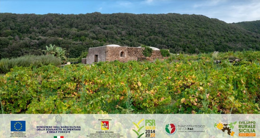 “Regione europea della Gastronomia 2025”, la Sicilia è sempre più a tavola, ecco perché