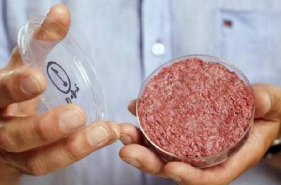 Carne coltivata, Ue boccia Italia, “no a divieto di produzione”