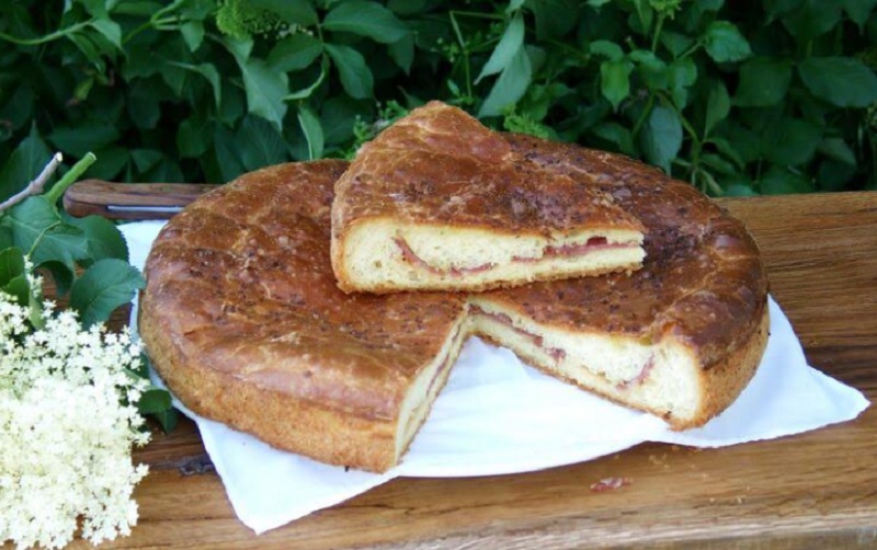 Il sambuco troinese e le sue origini celtiche
