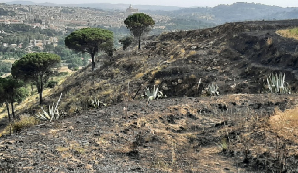 Incendio a Piazza Armerina, paura per le case