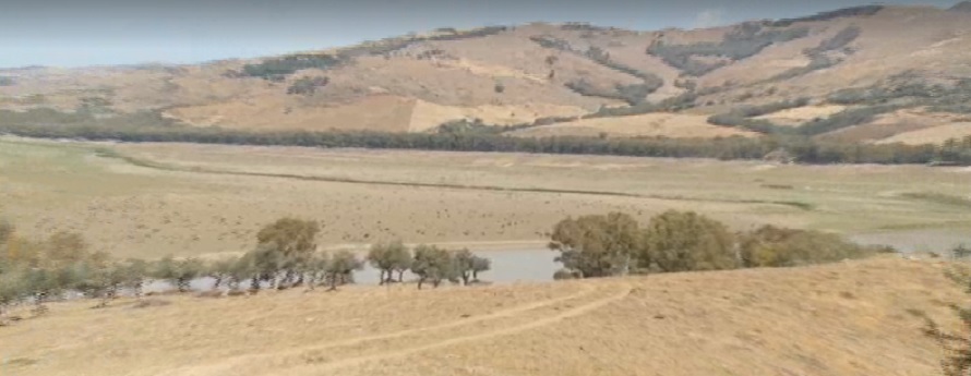 La siccità nel futuro della Sicilia, uno studio, “grano e olive a picco”