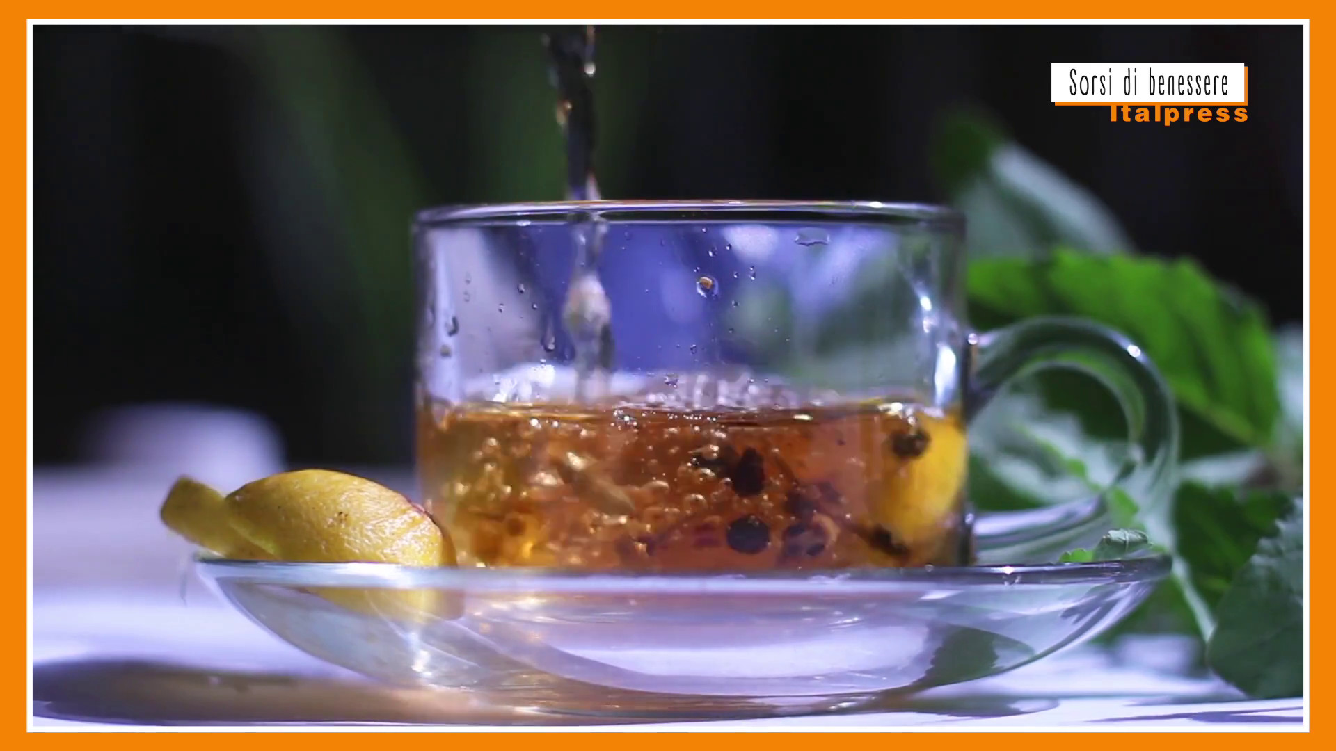 Sorsi di benessere – L’infuso a base di yerba mate