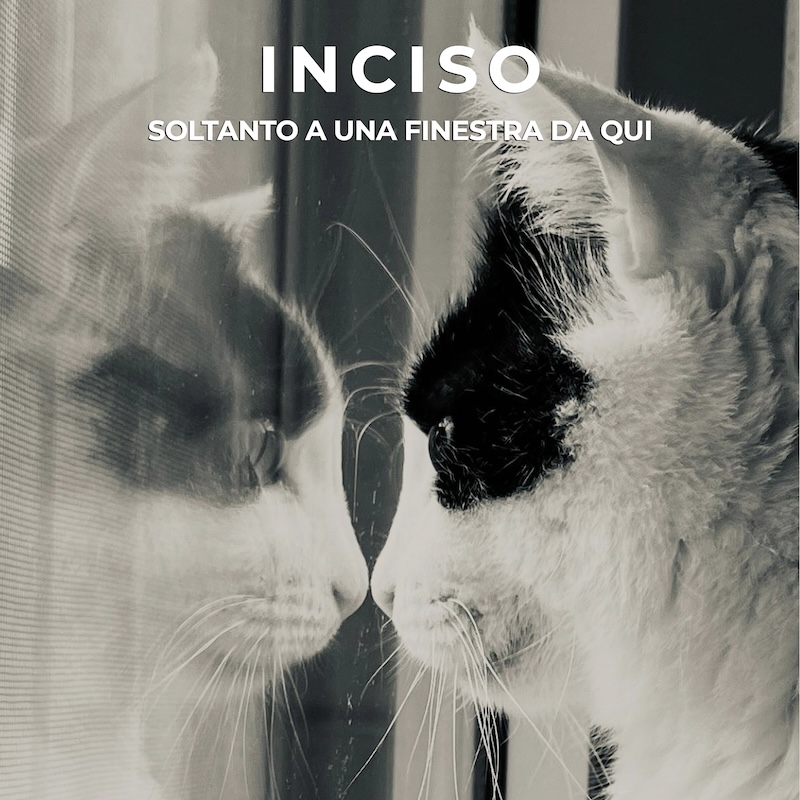 Soltanto a una finestra da qui – Talking Cat Label – SINGOLO SCRITTO E INTERPRETATO DAL GIOVANE CANTAUTORE SICILIANO INCISO