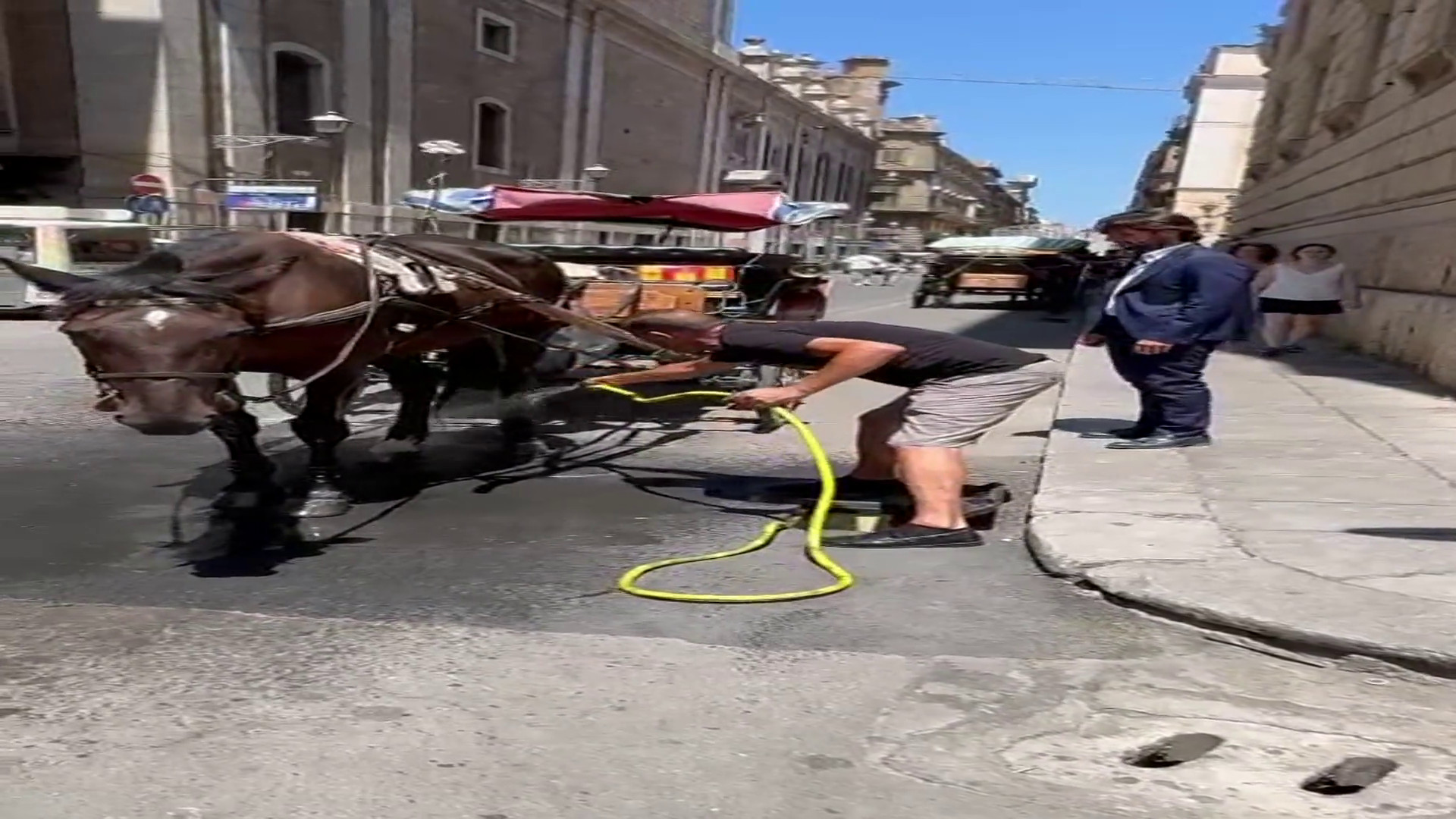 A Palermo “docce” pubbliche per salvare i cavalli dal caldo