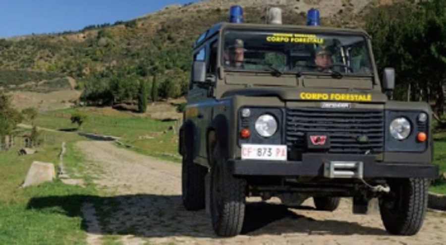 Il concorso “scandalo” della Forestale è legittimo, tutti assunti, pure il figlio del dirigente
