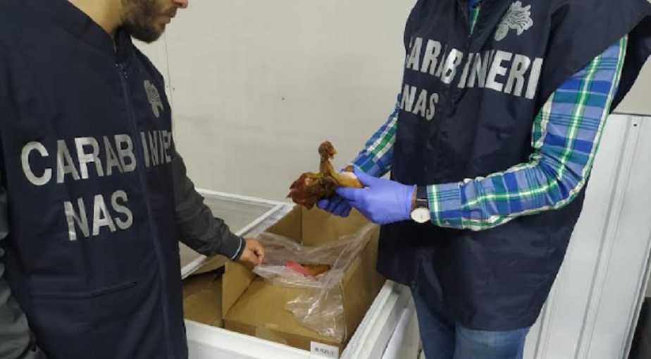 Cibo con insetti e ragnatele in un agriturismo, attività sospesa dai Nas