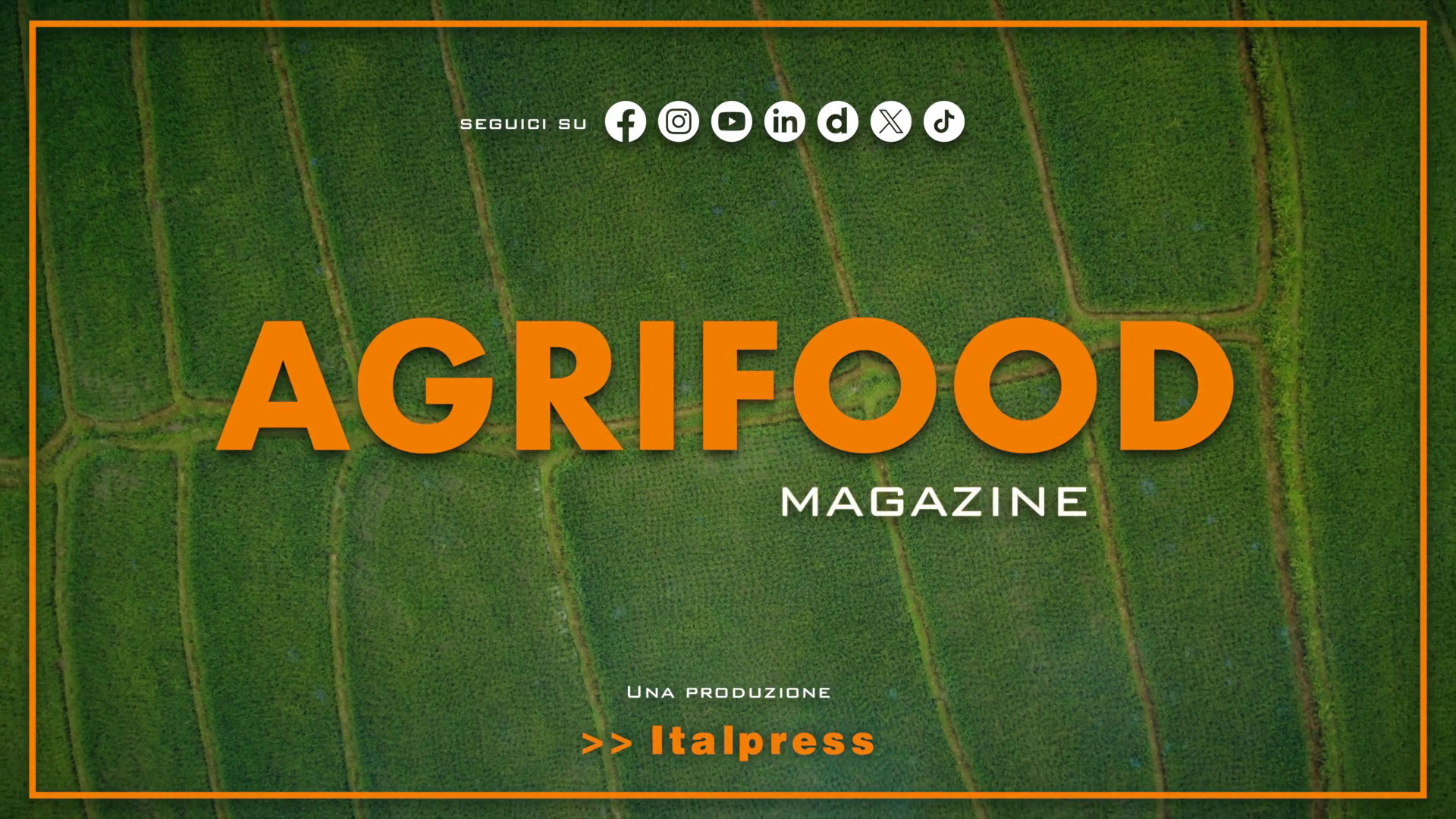 Agrifood Magazine – 26/3/2025