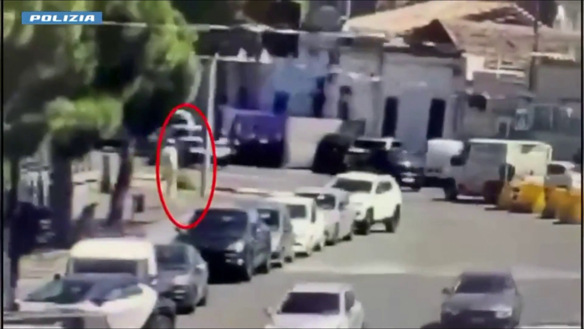 Ucciso a coltellate a Catania, la fuga dell’aggressore poi arrestato