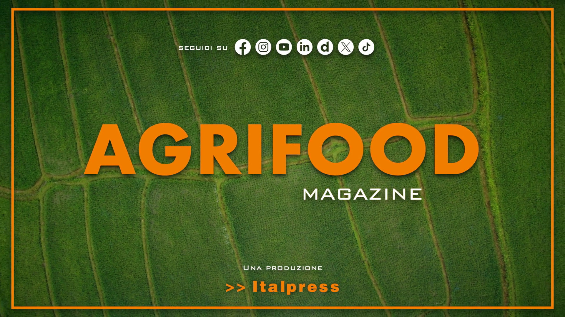 Agrifood Magazine – 28/5/2025
