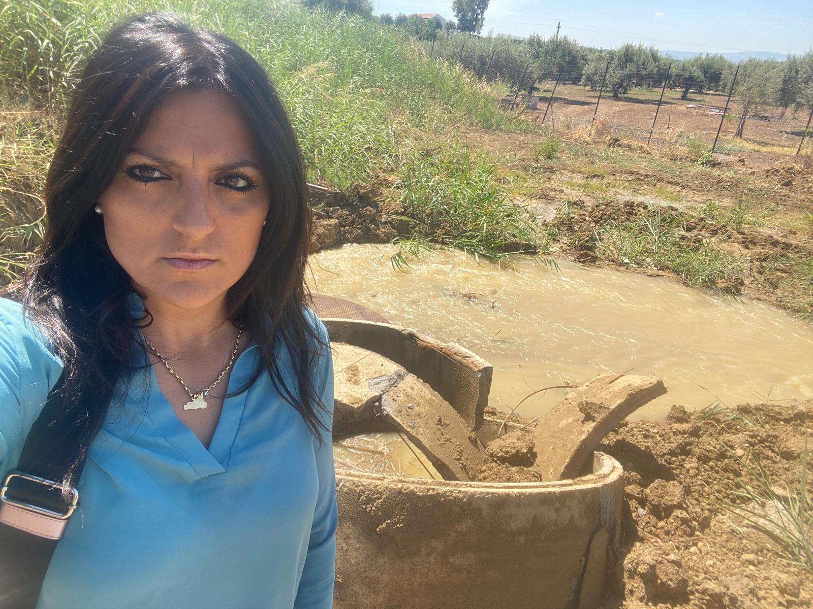 Consorzi di bonifica, Marano (M5s): “Sì a riforma, no a brutte sorprese per i lavoratori”