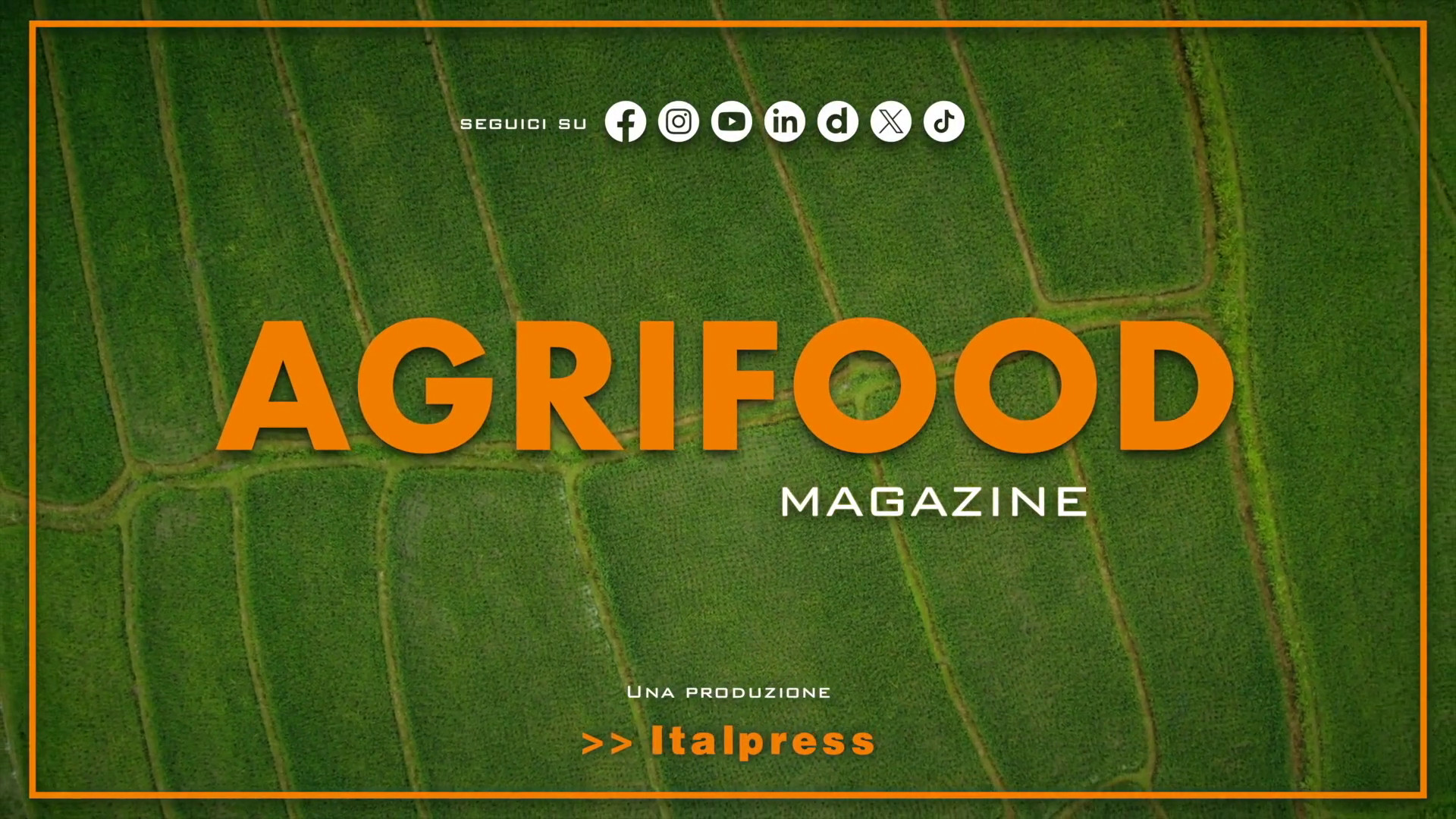 Agrifood Magazine – 4/6/2025