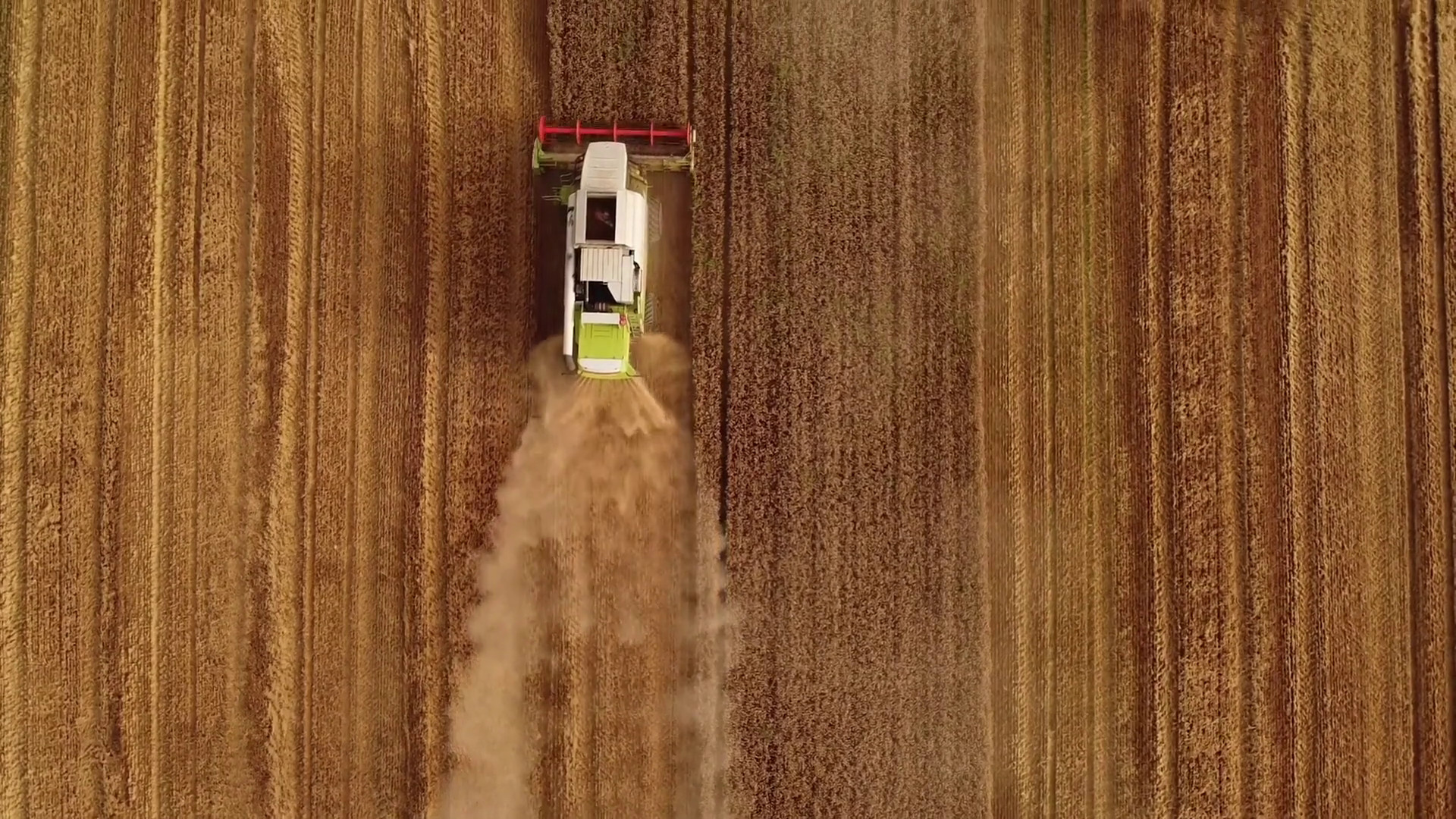 Agricoltura, nuovi finanziamenti per l’innovazione