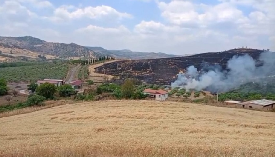 Inferno a Gagliano, incendio divora ettari di grano, “case e aziende salve”
