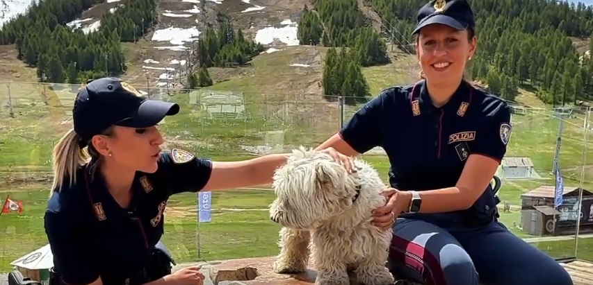 Abbandono degli animali, spot della polizia, “sanzioni severissime”