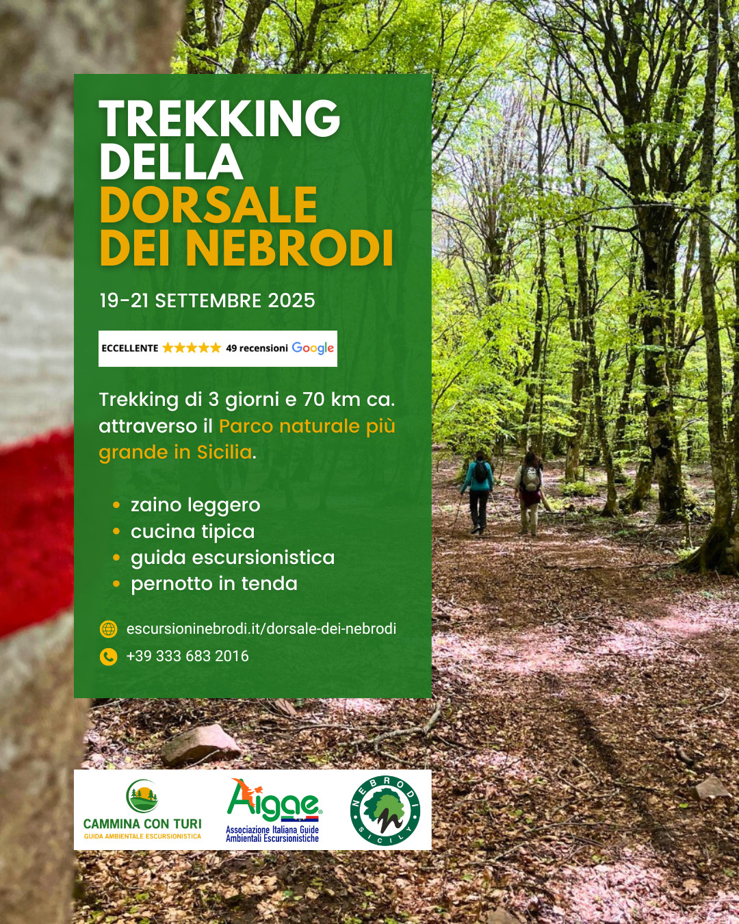 TREKKING DELLA DORSALE DEI NEBRODI: TRE GIORNI A PIEDI NEL CUORE SELVAGGIO DELLA SICILIA