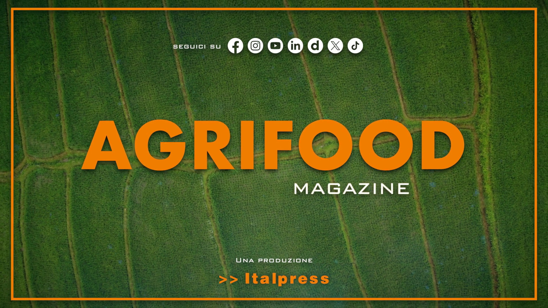 Agrifood Magazine – 2/7/2025